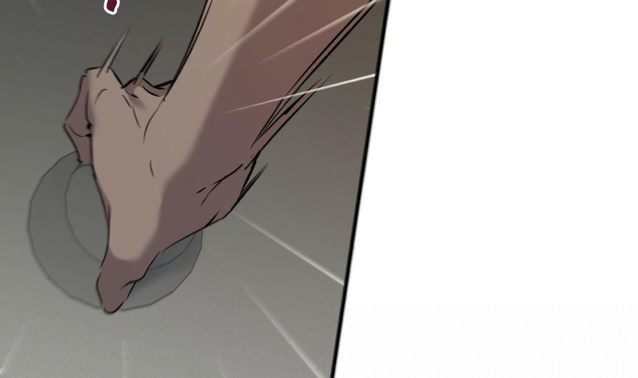 những chú thỏ của hapypy chapter 56 63