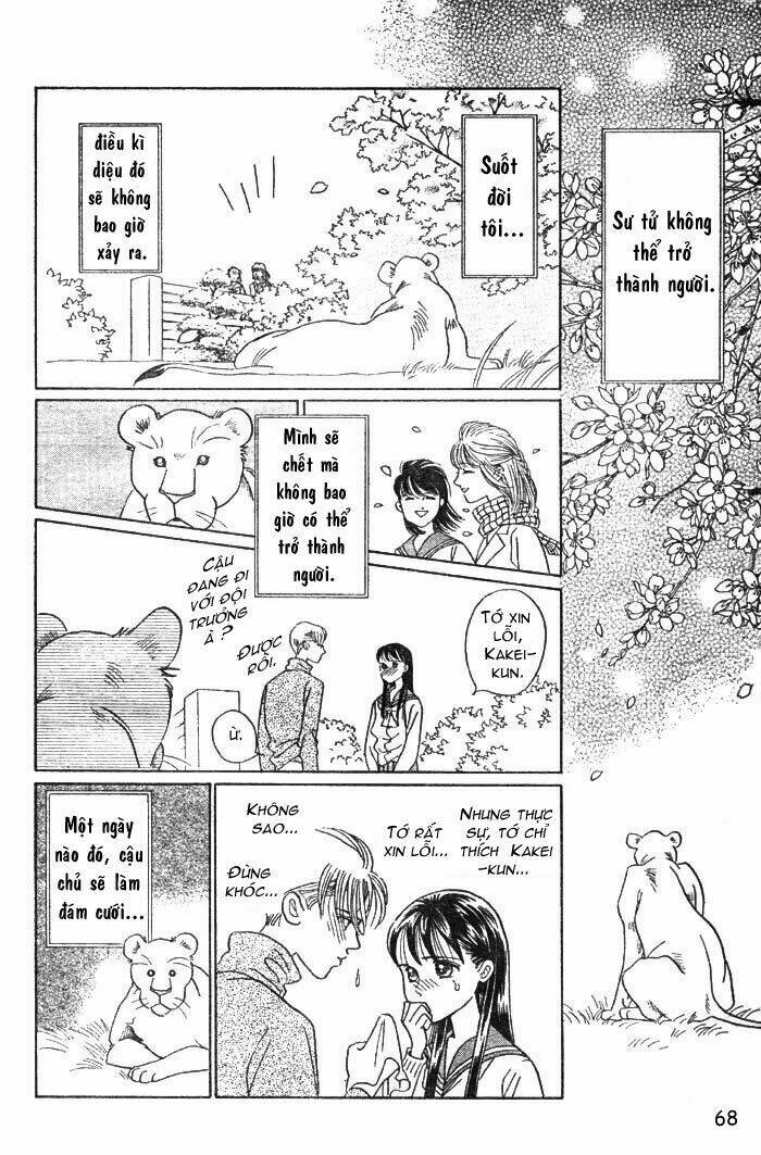 wild cats chapter 1 71