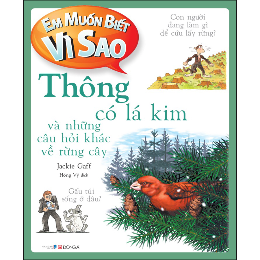 Em muốn biết vì sao thông có lá kim và những câu hỏi khác về rừng cây