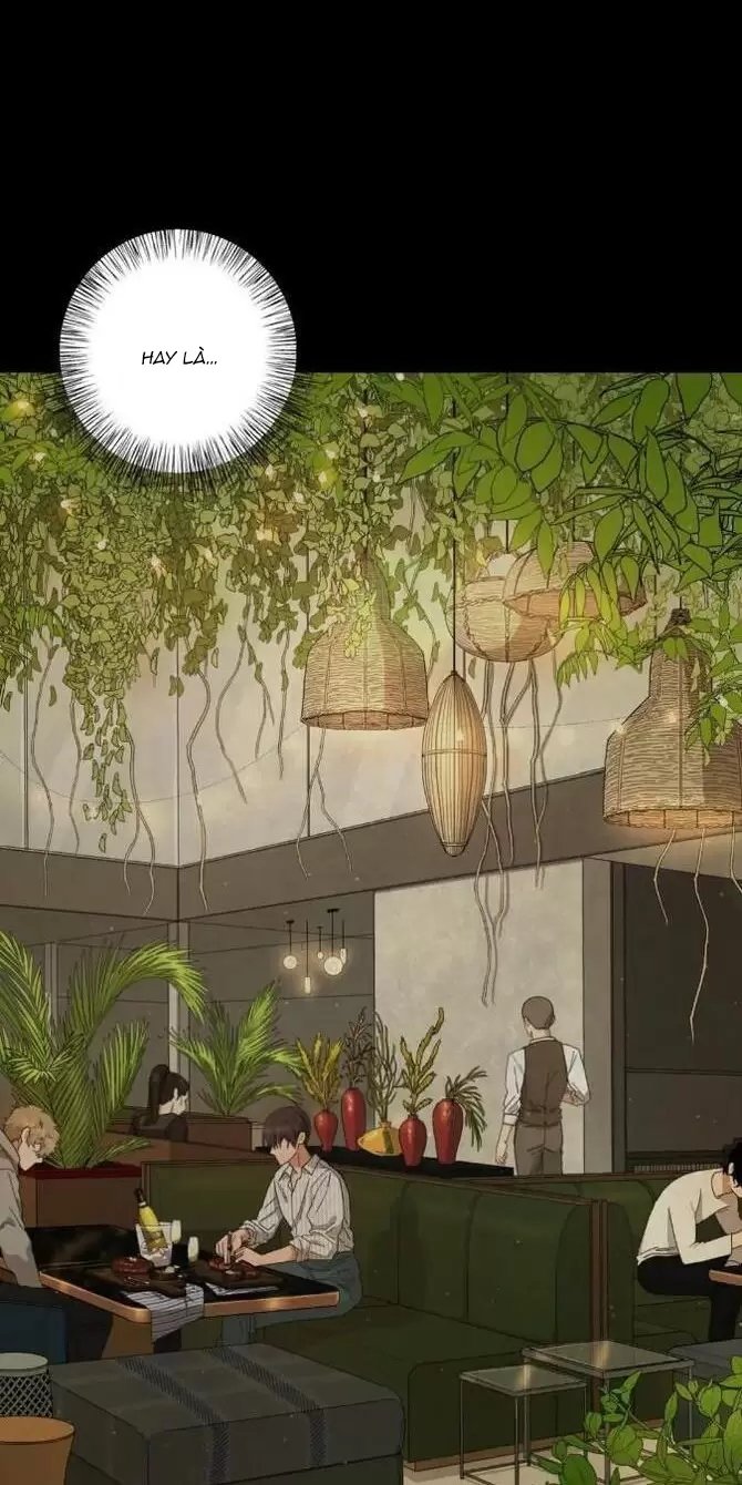 liveta chapter 35 35