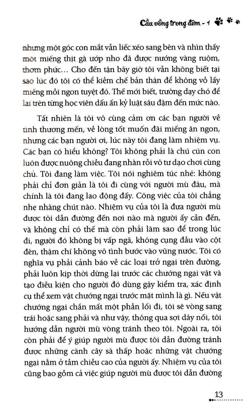 Hình ảnh Cầu Vồng Trong Đêm 1 - Cho Những Trái Tim Đang Sống