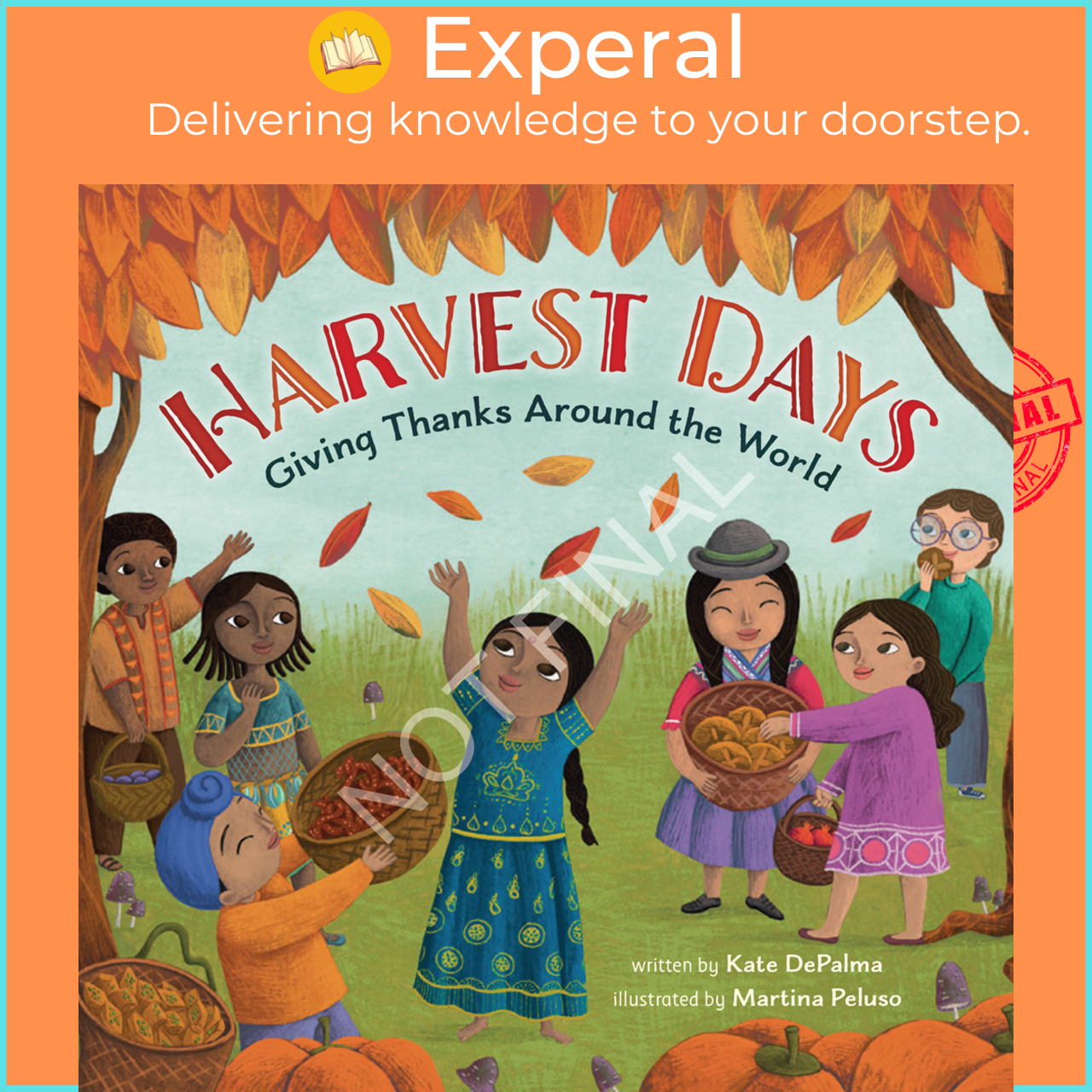 Sách - Harvest Days : Giving Thanks Around the World by Kate DePalma Martina Peluso