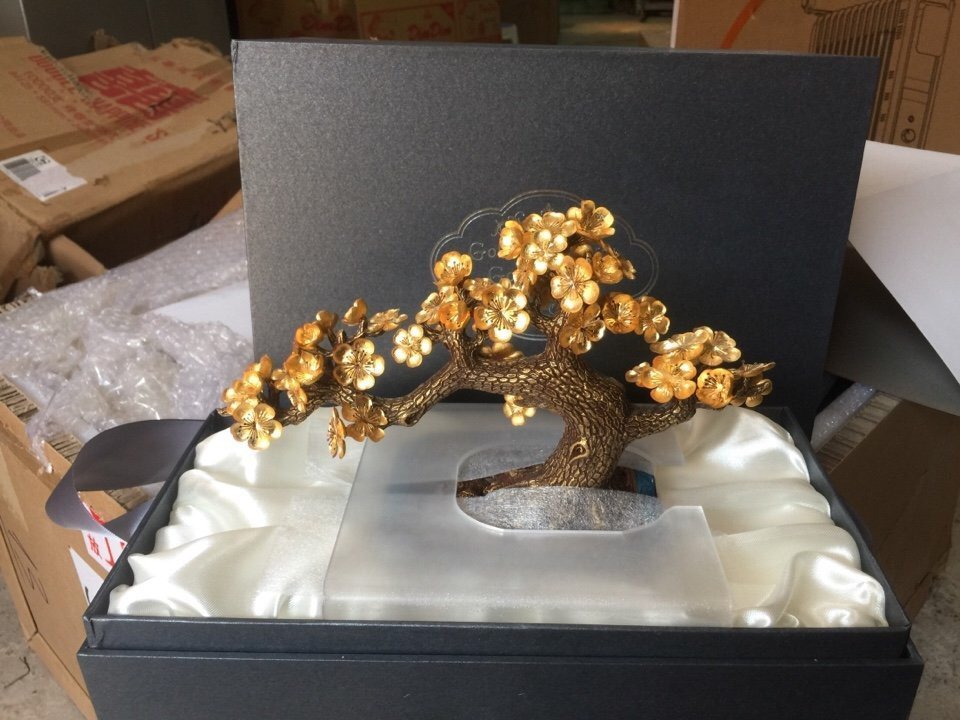 Chậu cây mai ngũ phúc mạ vàng 24k