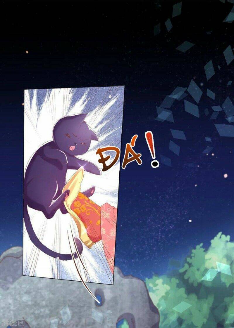 thị huyết y phi chapter 82 1