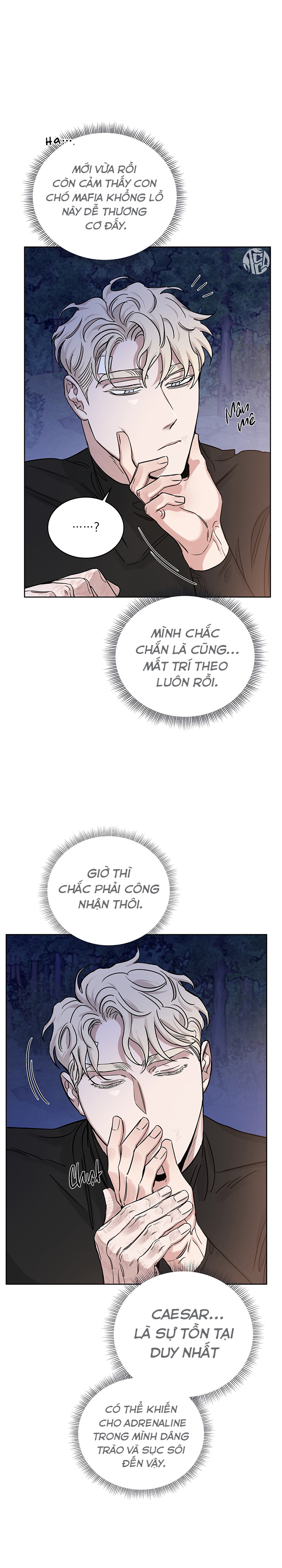 đoá hồng và ly champagne chapter 0.11 28