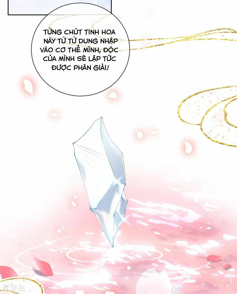 thị huyết y phi chapter 123 17