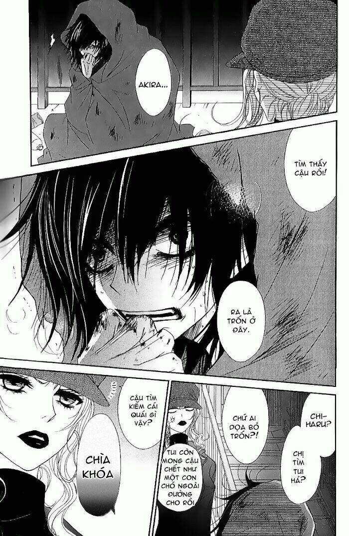 điện kích daisy chapter 65 2