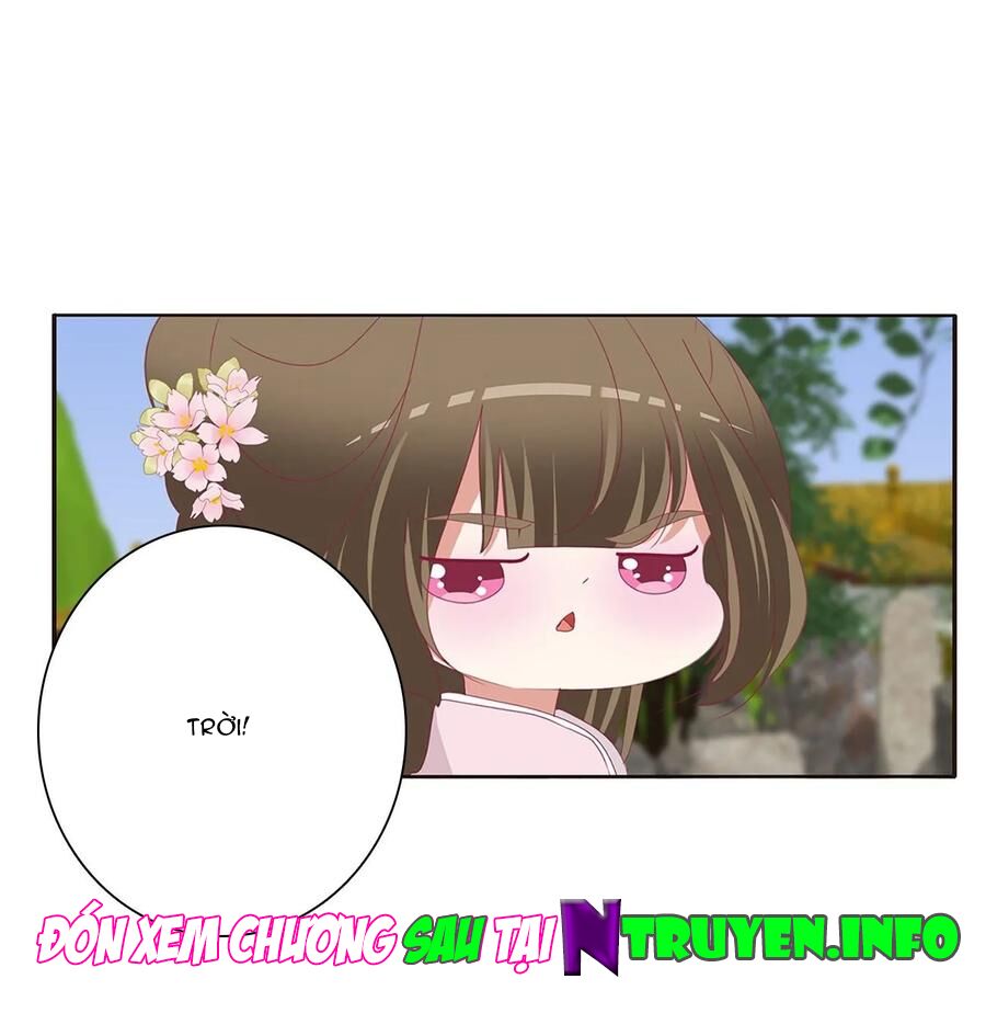 thông linh phi chapter 614 21