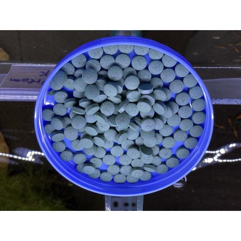 500 viên tảo - Thức ăn cho cá tép tốt cho tiêu hoá