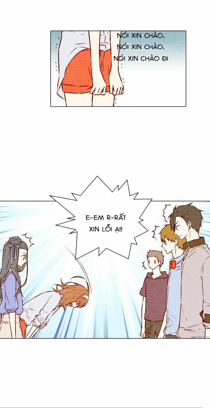 sự sao chép chapter 3 24