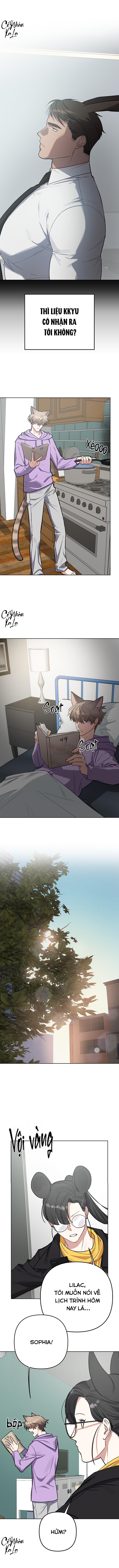 3 giây thỏ "nhỏ" đã xuất tinh rồi chapter 6 6