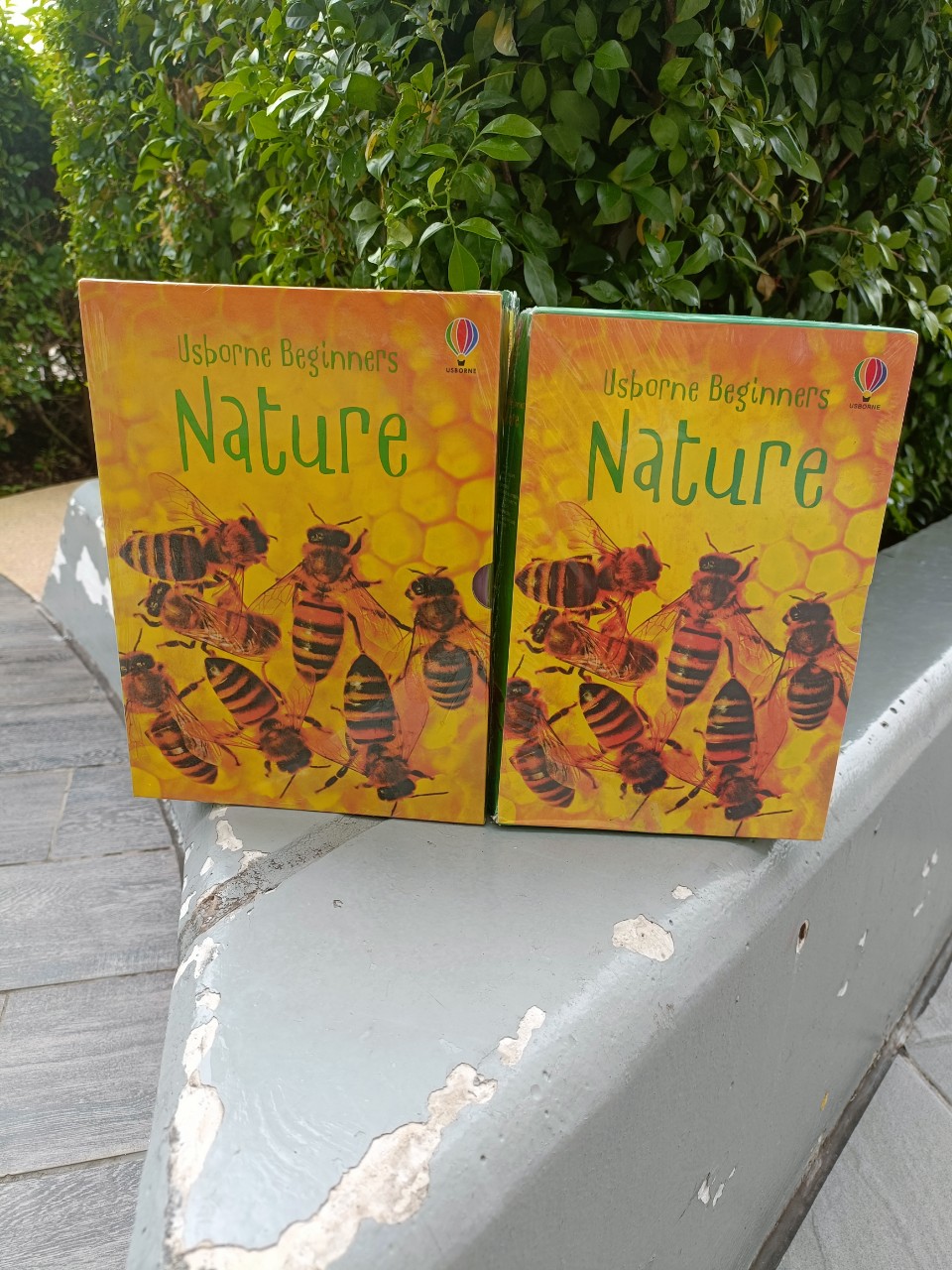 Usborne beginners nature, bộ nhập, 10c