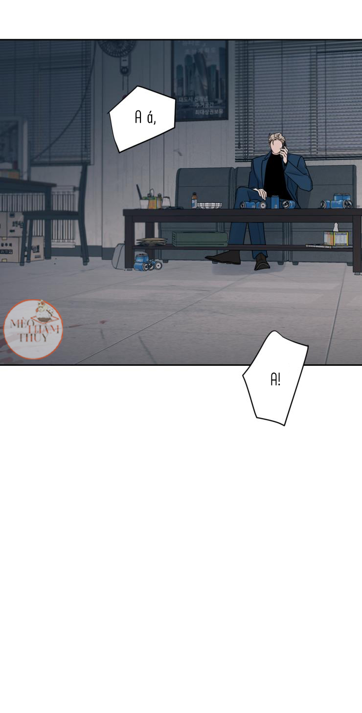 cái bóng của tôi chapter 7 2