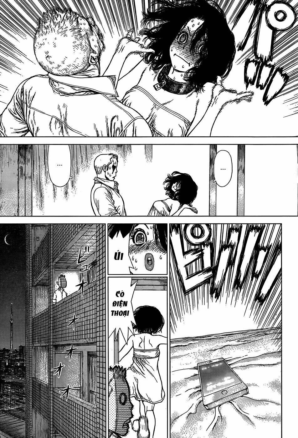 wallman chapter 11 19