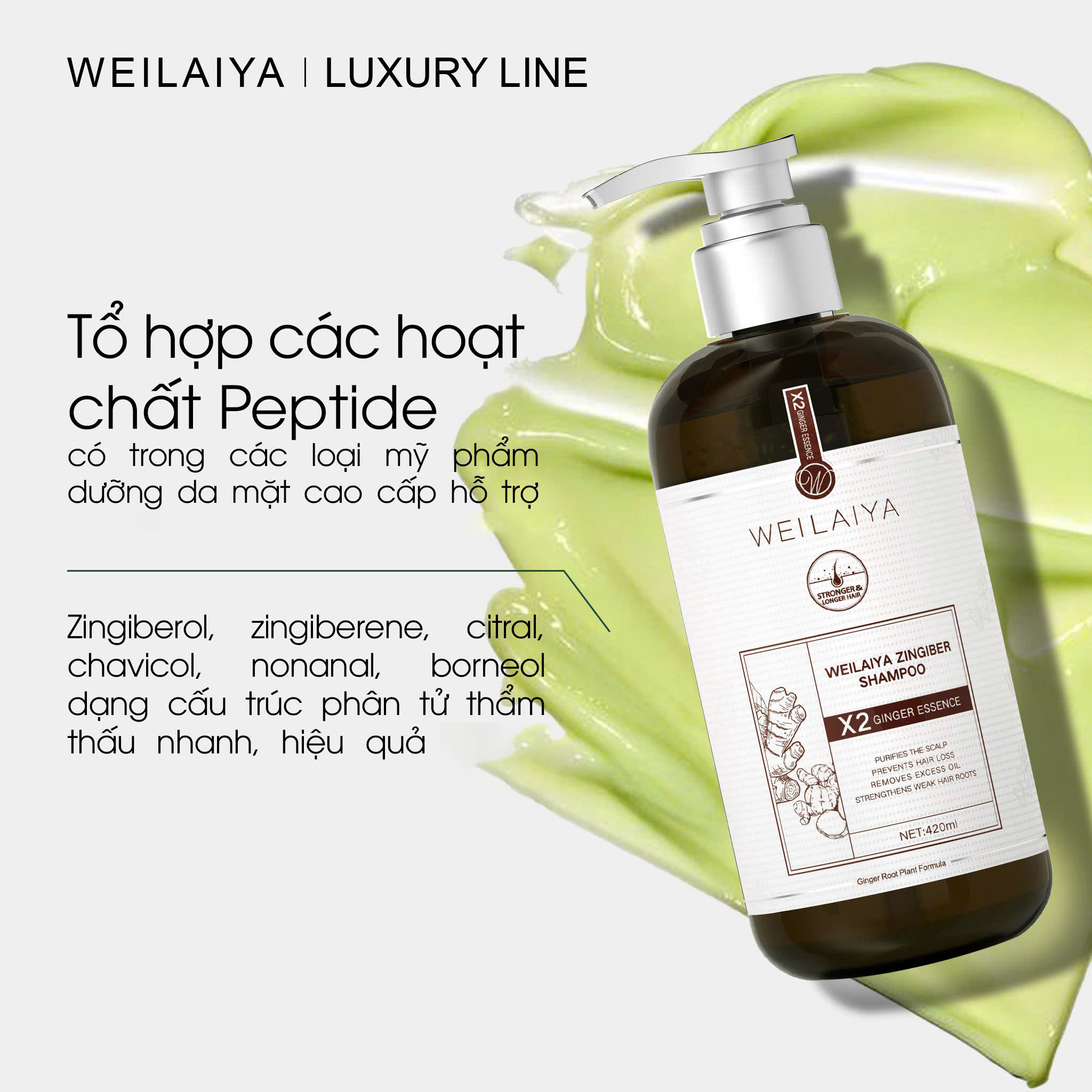 Cặp dầu gội xả gừng thảo mộc Weilaiya Luxury dành cho da đầu khô, thường