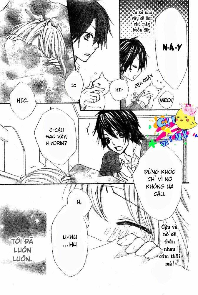 tình yêu của hiyo chapter 5 28