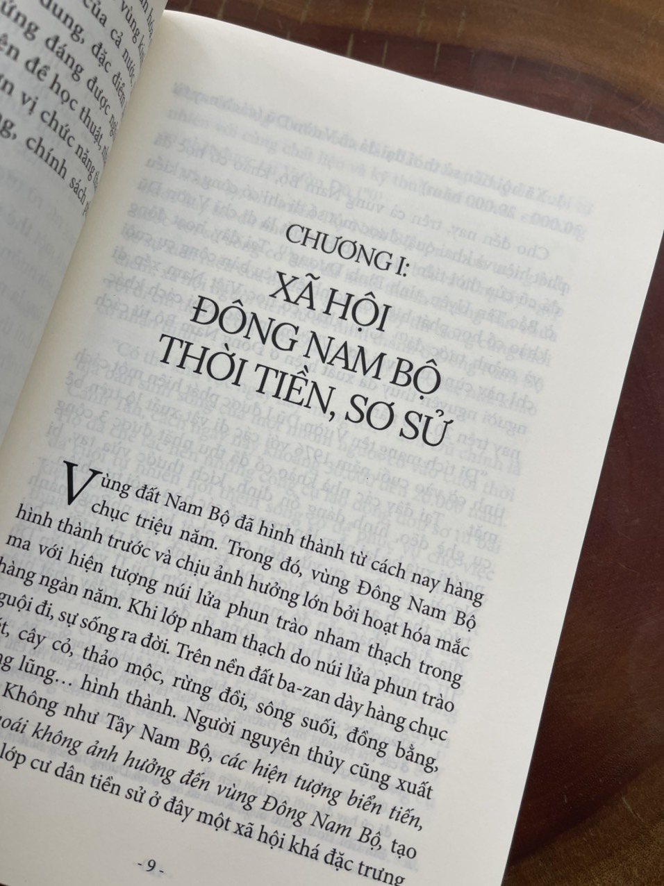 XÃ HỘI ĐÔNG NAM BỘ từ khởi thuỷ đến đầu thế kỷ XXI - Huỳnh Ngọc Đáng – Nxb Tổng hợp Tp Hồ Chí Minh (bìa mềm)