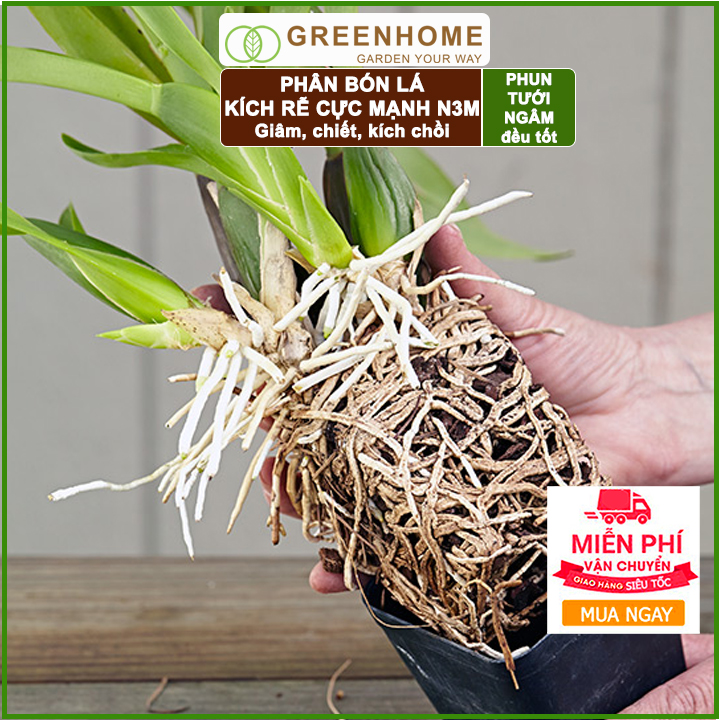 HỘP 1 KG - PHÂN BÓN RA RỄ CỰC MẠNH N3M