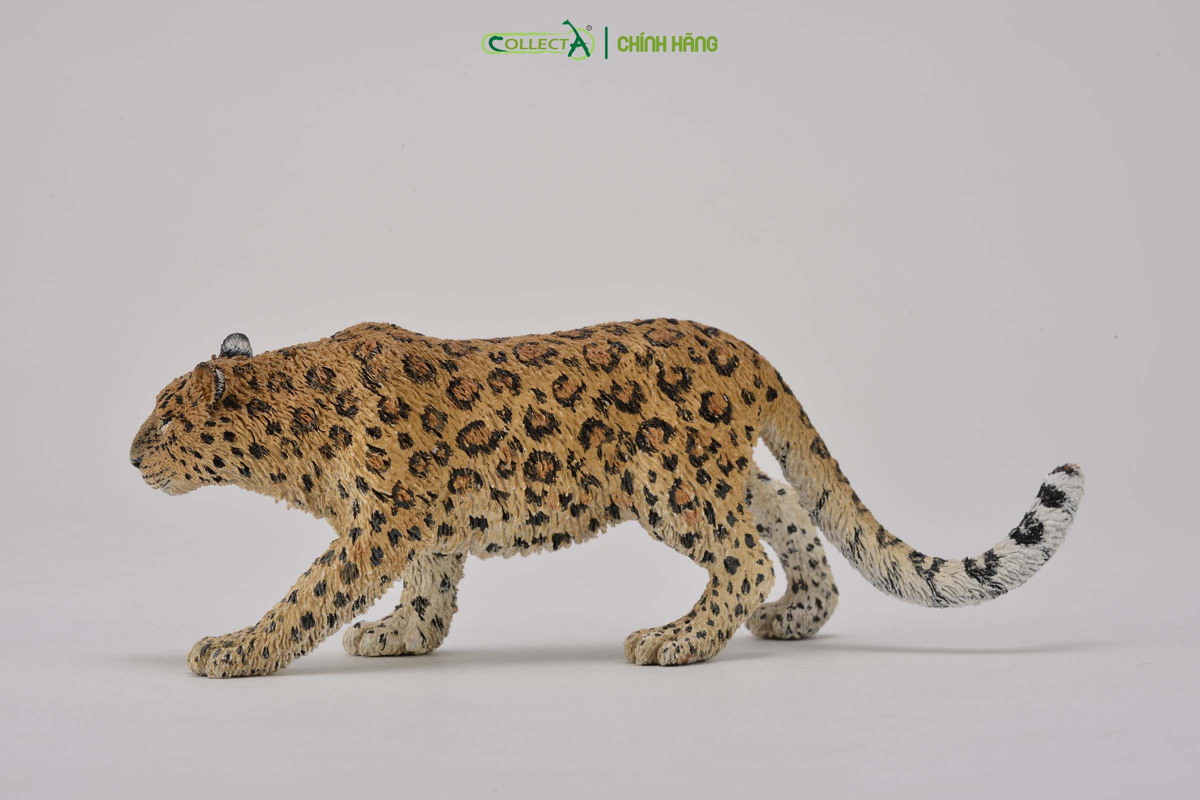 Mô hình thu nhỏ: Báo Hoa Mai - Amur Leopard , hiệu: CollectA, mã HS 9651190[88708] -  Chất liệu an toàn cho trẻ - Hàng chính hãng