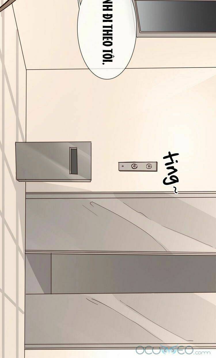 ngôi sao vụn vỡ chapter 18 42