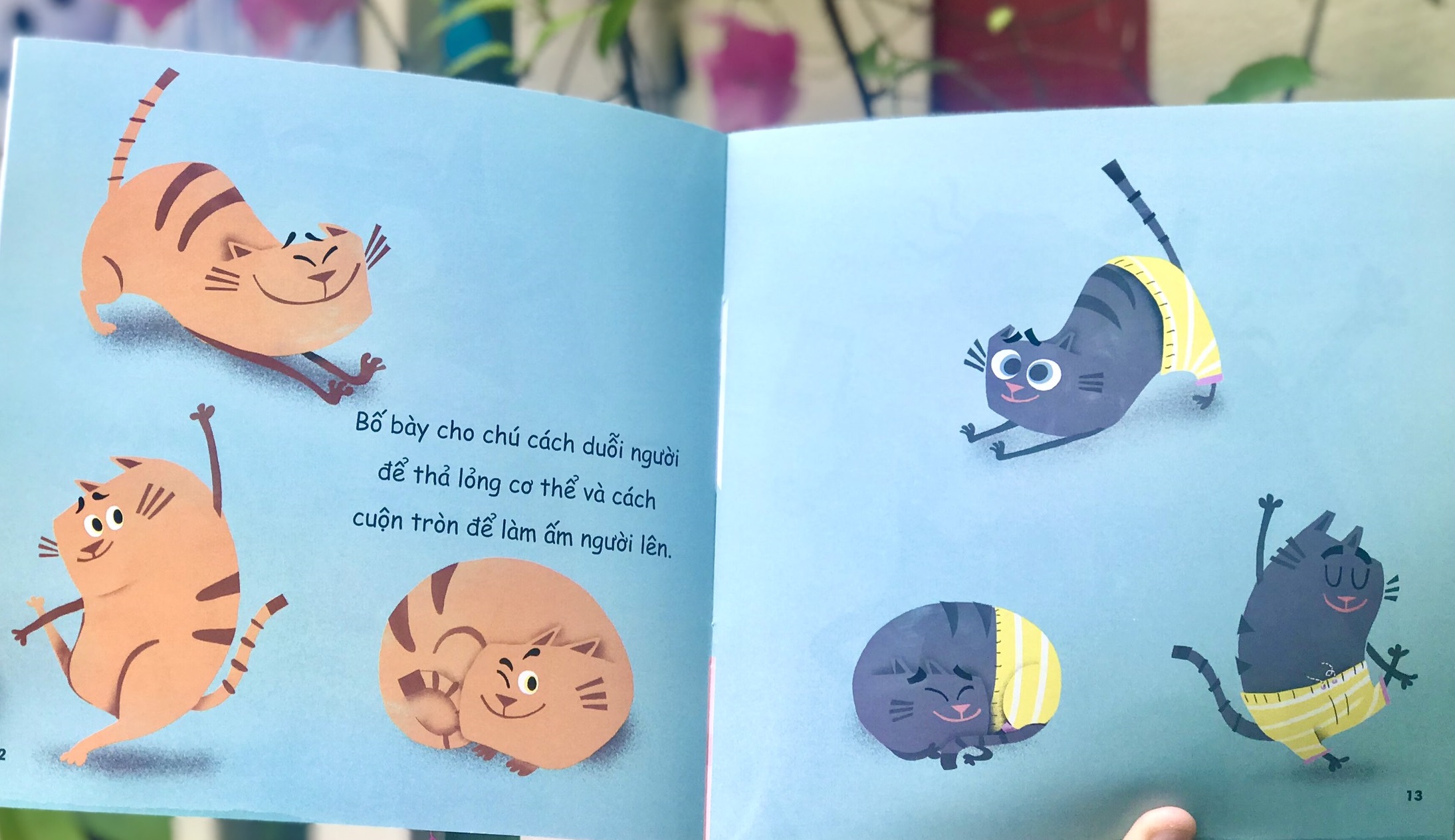 EQ-IQ Giúp Trẻ Làm Chủ Cảm Xúc - Cáu Giận