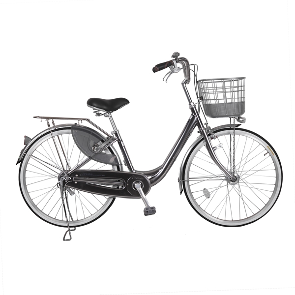 Xe đạp mini Nhật WEA2611 ( Classic