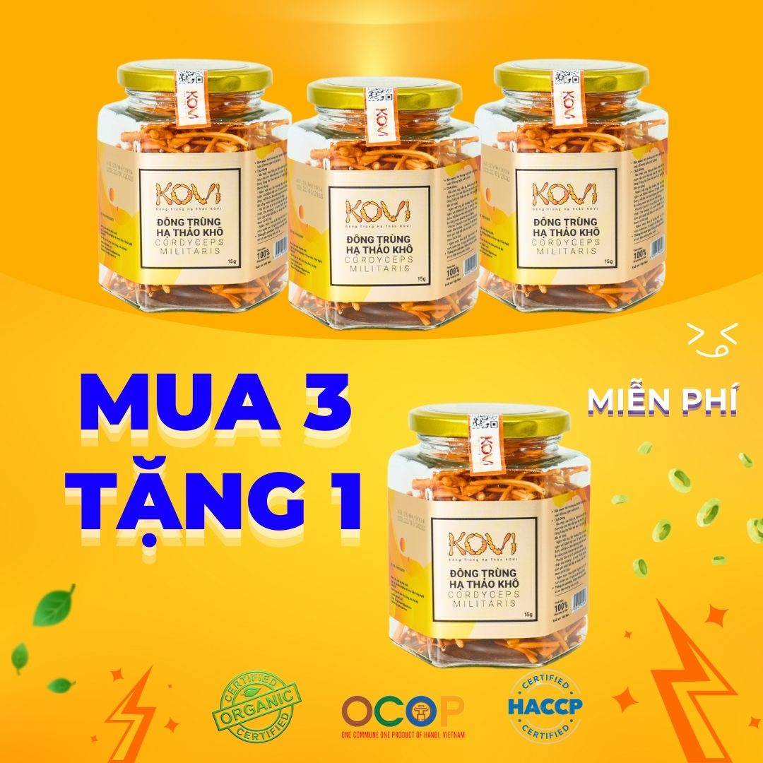 [Mua 3 tặng 1] Đông trùng hạ thảo KOVI khô sấy thăng hoa 50g | Combo ưu đãi