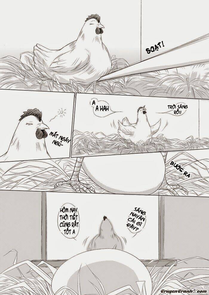 ta không muốn nói ta chỉ là một con gà chapter 1 10