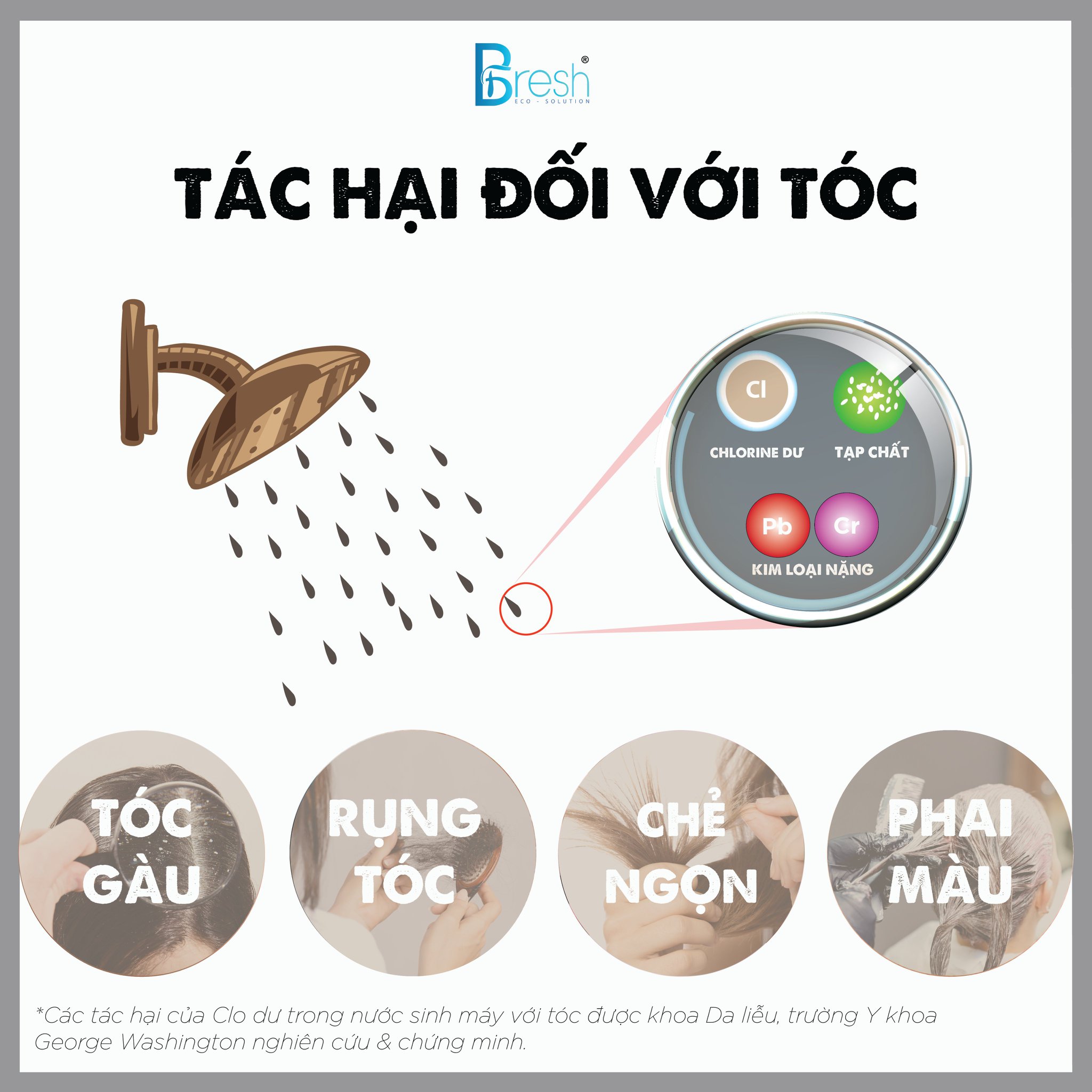 Lõi lọc nước vòi sen - Rita Fresh