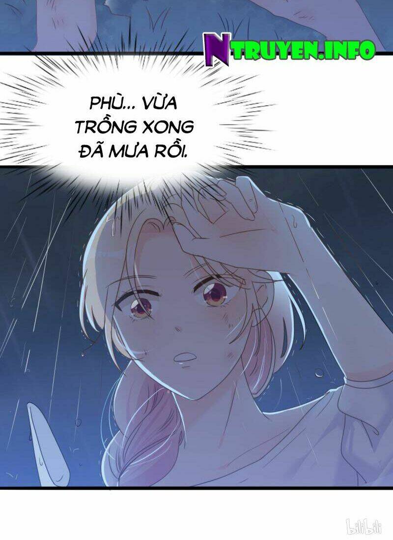 ngạo kiều tổng tài sủng điềm thê chapter 35 23