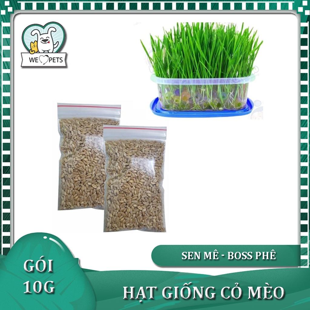 ‍️(10g) HẠT GIỐNG CỎ MÈO TƯƠI NGON BỔ DƯỠNG - Lida Pet Shop