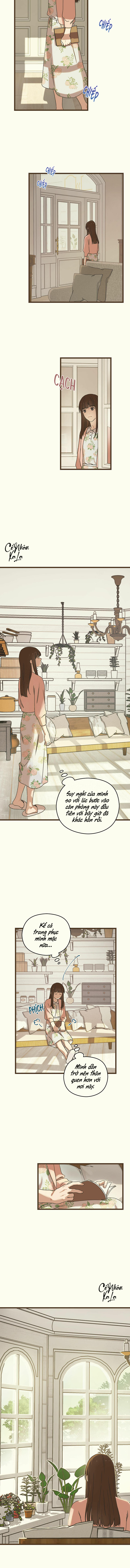 trùng phùng chapter 3 7