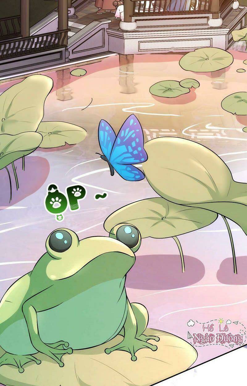 quận chúa vững vàng, thiết lập nhân vật không thể vỡ chapter 5 41