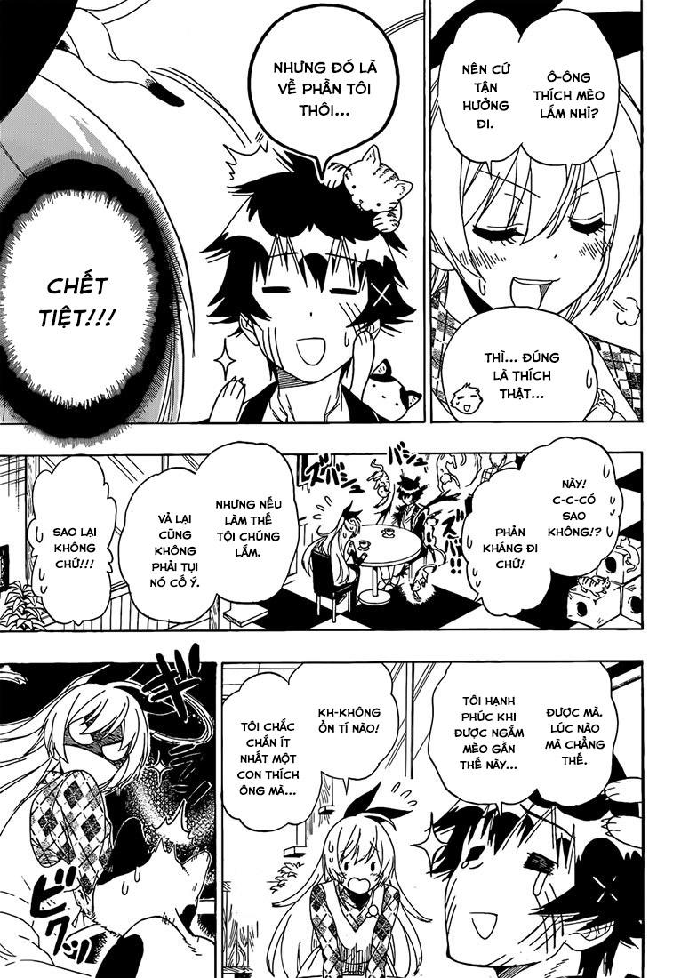nisekoi - tình yêu giả tạo chapter 174 13