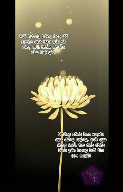 một ngàn cánh hoa chapter 0 6