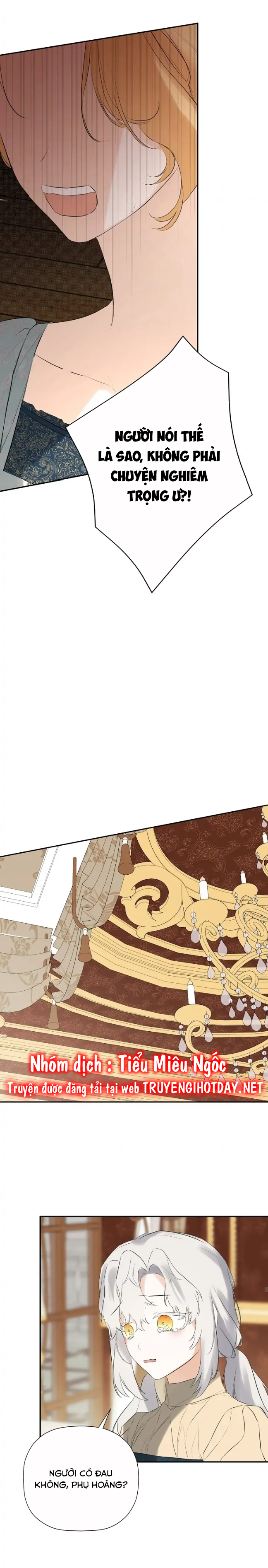 tôi biết bí mật của nam phụ chapter 43 14