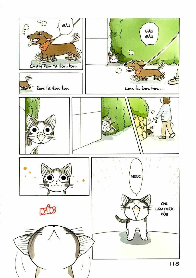 chi's sweet home chapter 35 4