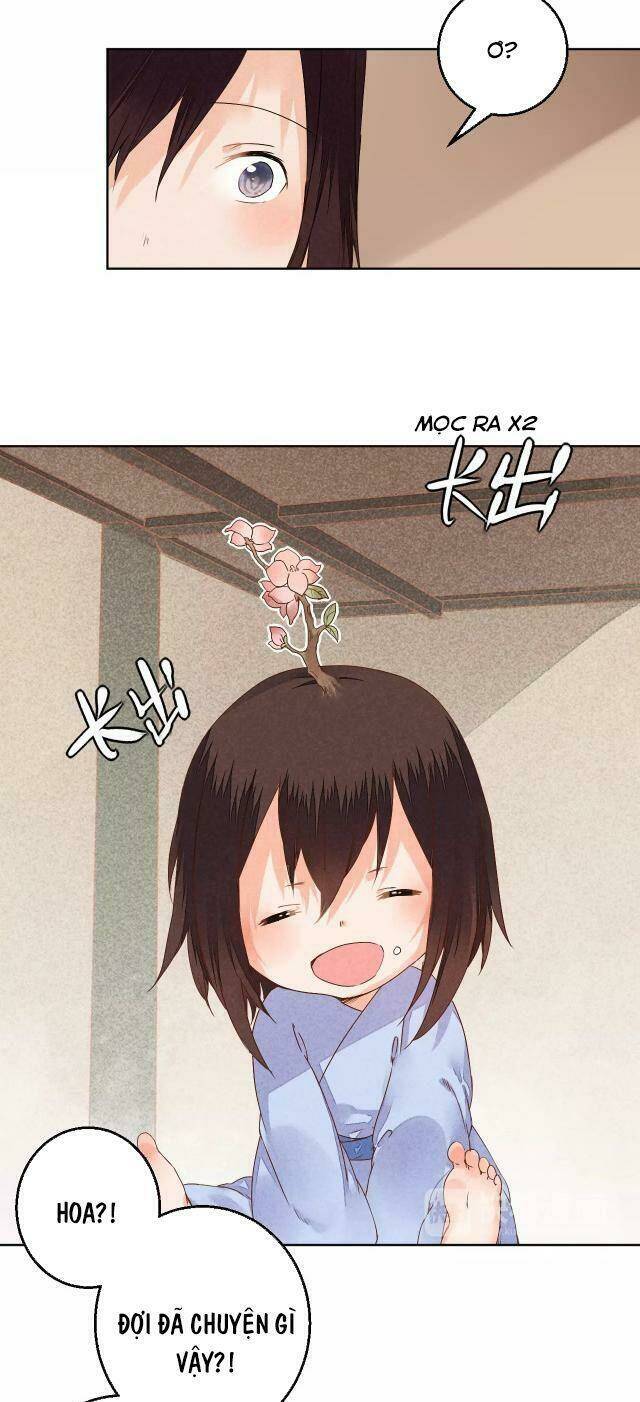 đốt đào hoa chapter 74.1 3