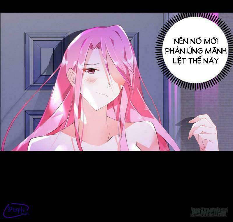 bảy ngày thực cốt hôn ước chapter 7 6