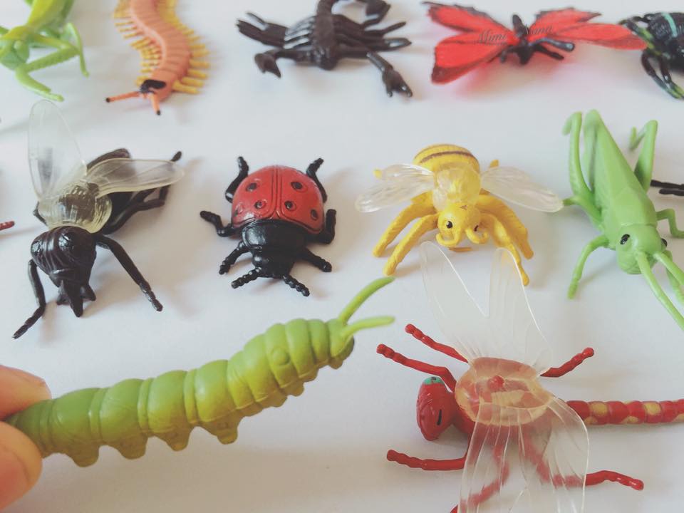 SET 13 MÔ HÌNH CÁC LOẠI CÔN TRÙNG