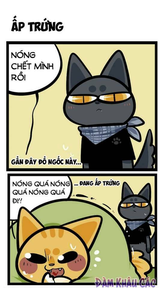 đời không như mình tưởng chapter 41 2