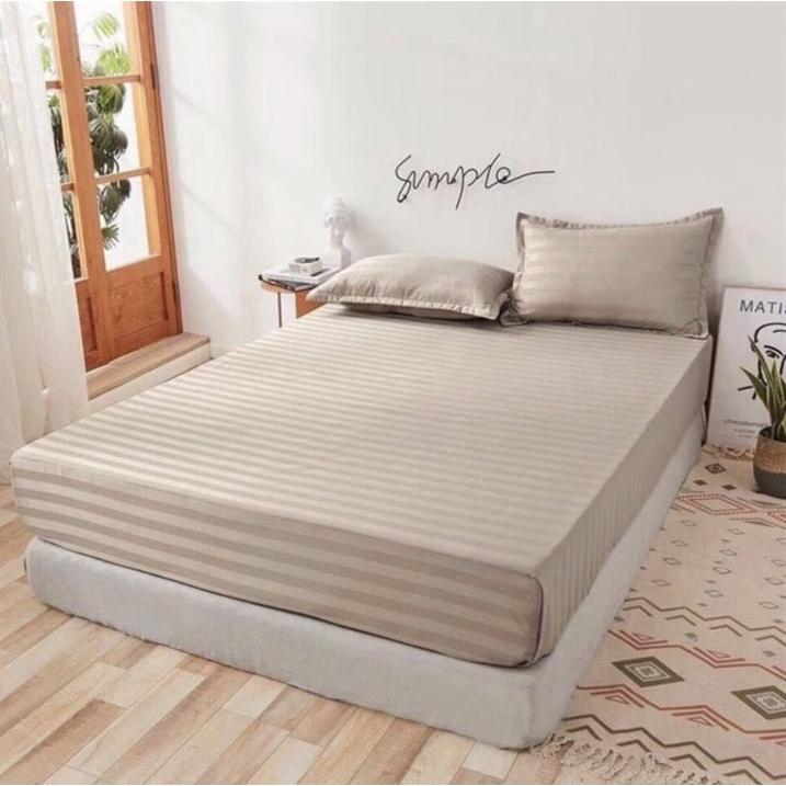 Bộ Chăn Ga Gối Cotton 3F Khách Sạn Cao Cấp 160x200cm, 180x200cm