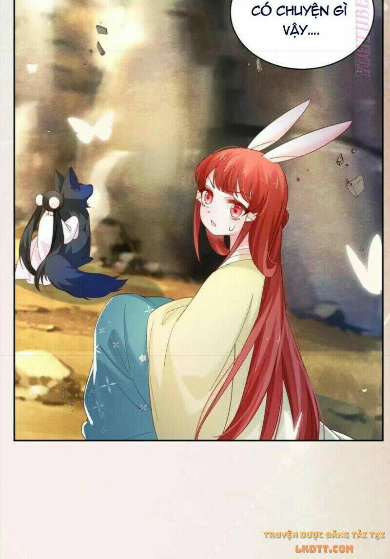 hắc hóa nam chính trực tuyến nuôi thỏ chapter 54 19