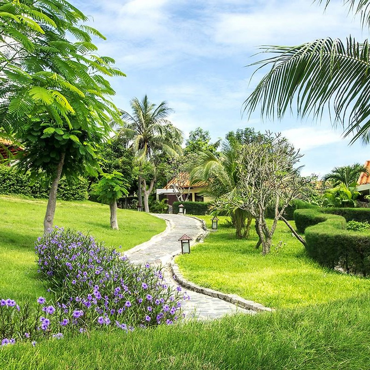 Romana Resort 4* Mũi Né Phan Thiết - Ăn 03 Bữa, Phòng Hướng Biển, Hồ Bơi Lớn, Bãi Biển Riêng