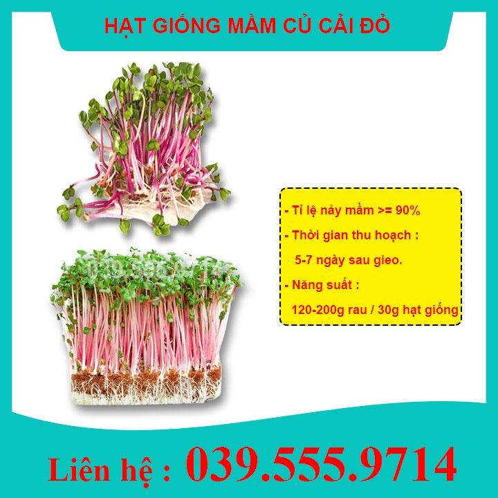 1kg Hạt Giống Rau Mầm Củ Cải Đỏ - Giòn, Ngọt, Dinh Dưỡng, Thu Hoạch Nhanh
