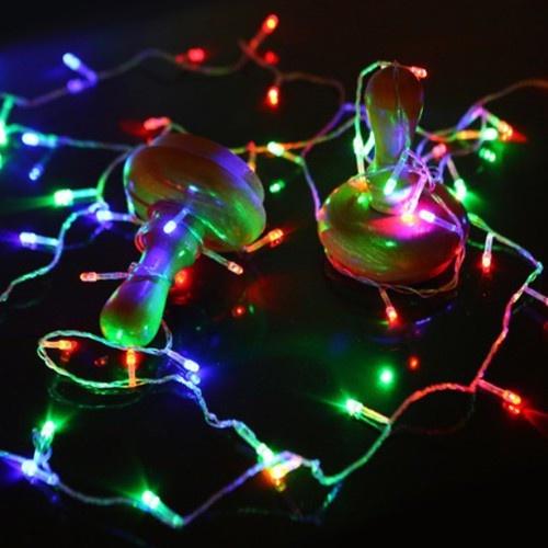 Dây LED nháy 7 màu dài 5 m- giá sỉ
