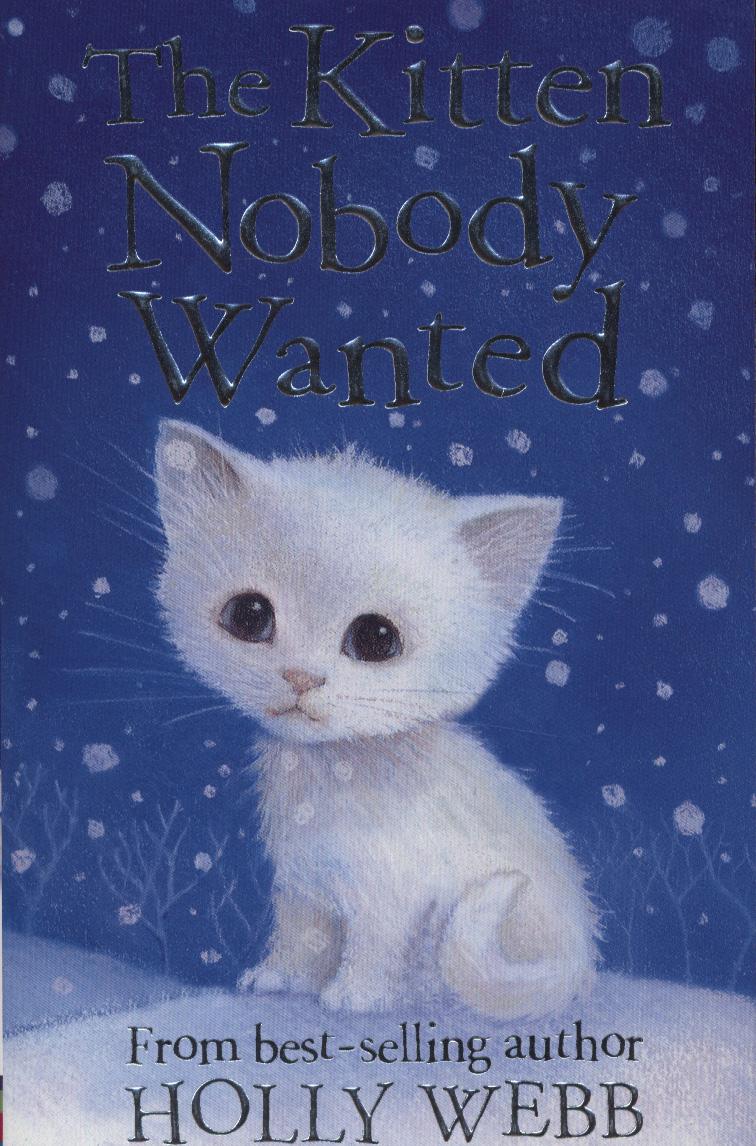 The Kitten Nobody Wanted