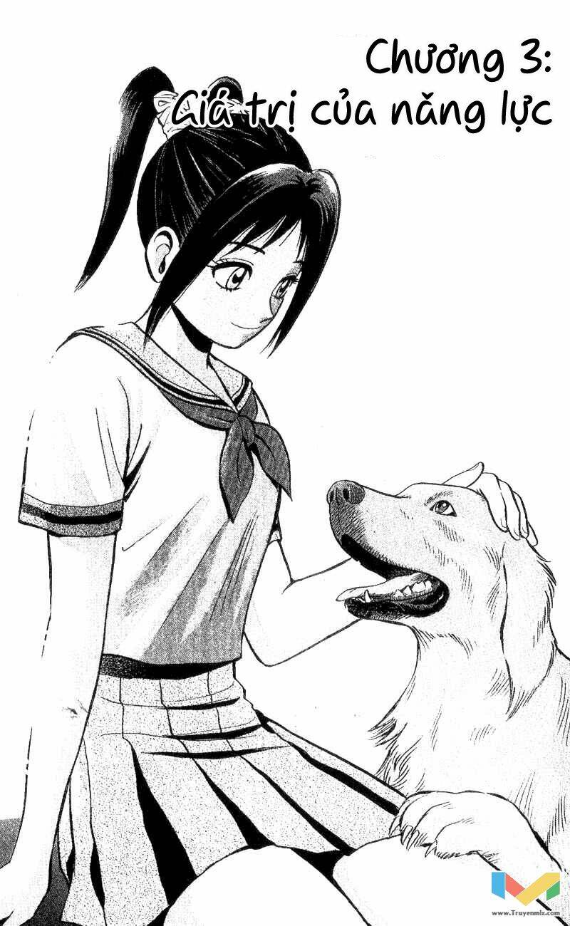 animal sense chapter 3 2