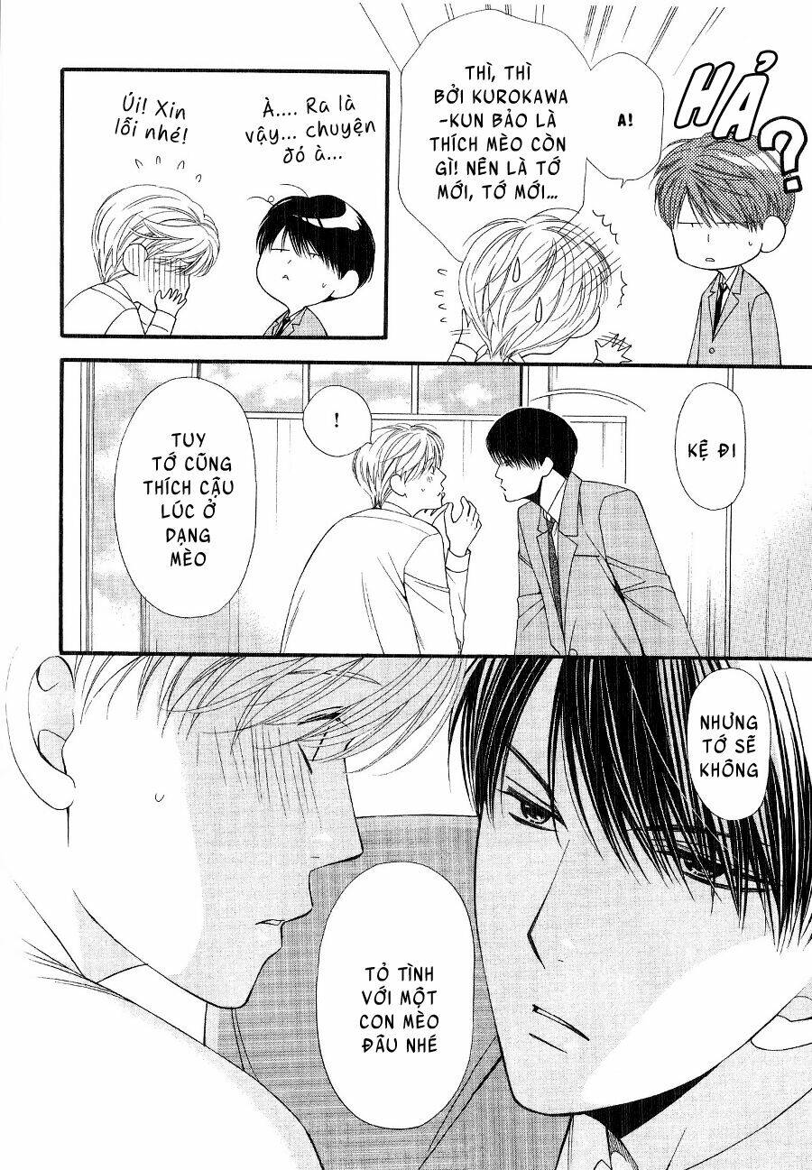 neko neko honey chapter 12 22