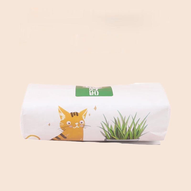 Set cỏ catnip tự trồng, chỉ cần tưới nước là có thể thu hoạch.